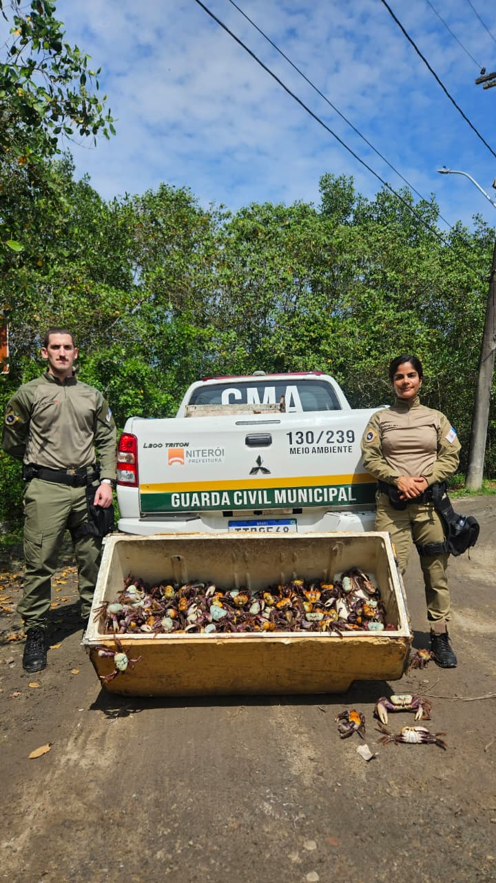 Guarda Ambiental de Niterói resgata 450 caranguejos-uçá comercializados irregularmente e reforça proteção da espécie durante o defeso