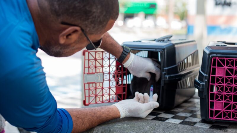 Itaboraí promove 7ª semana de vacinação antirrábica em oito bairros