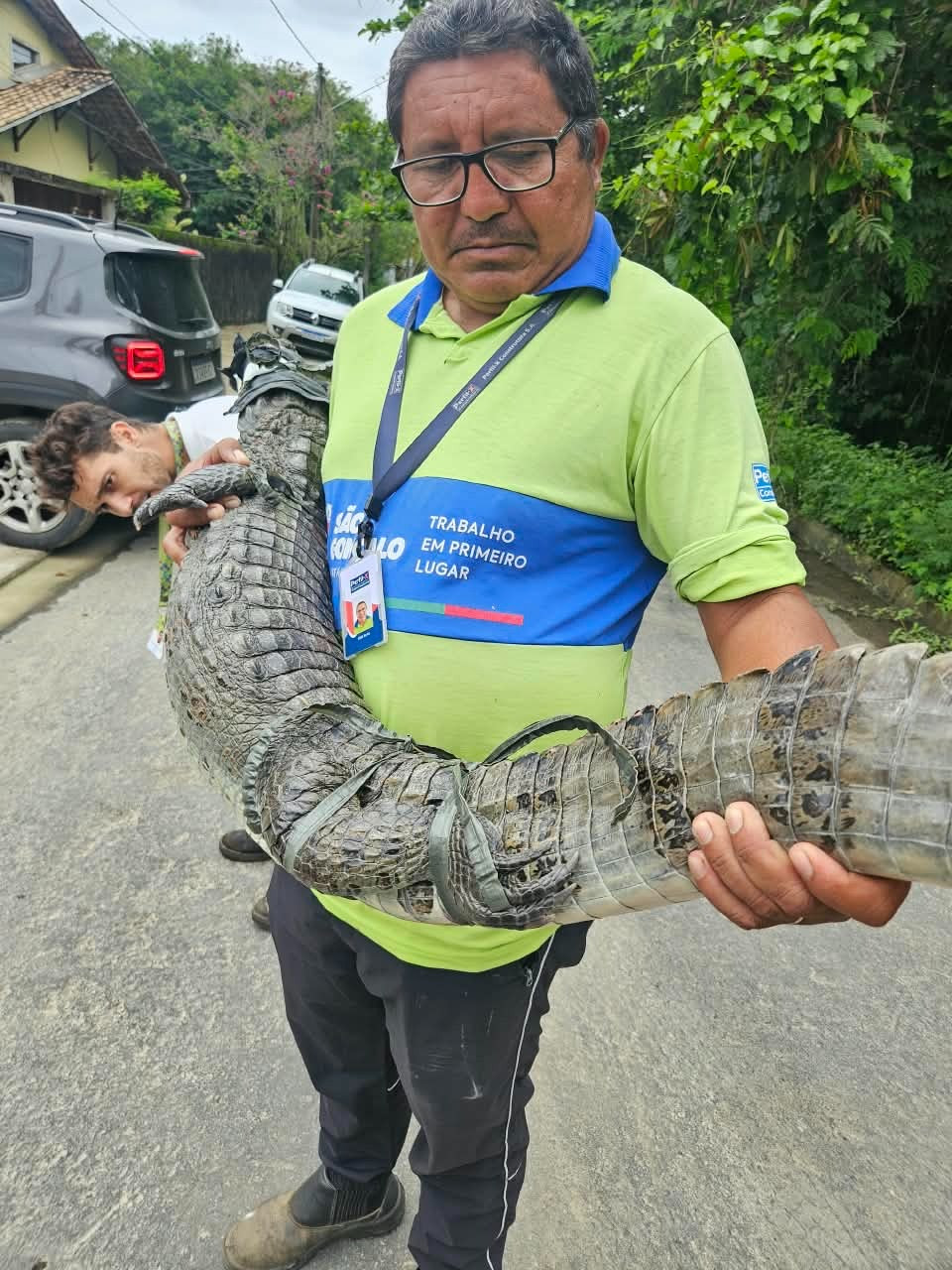 ASAS devolve dois jacarés e dois cágados à natureza